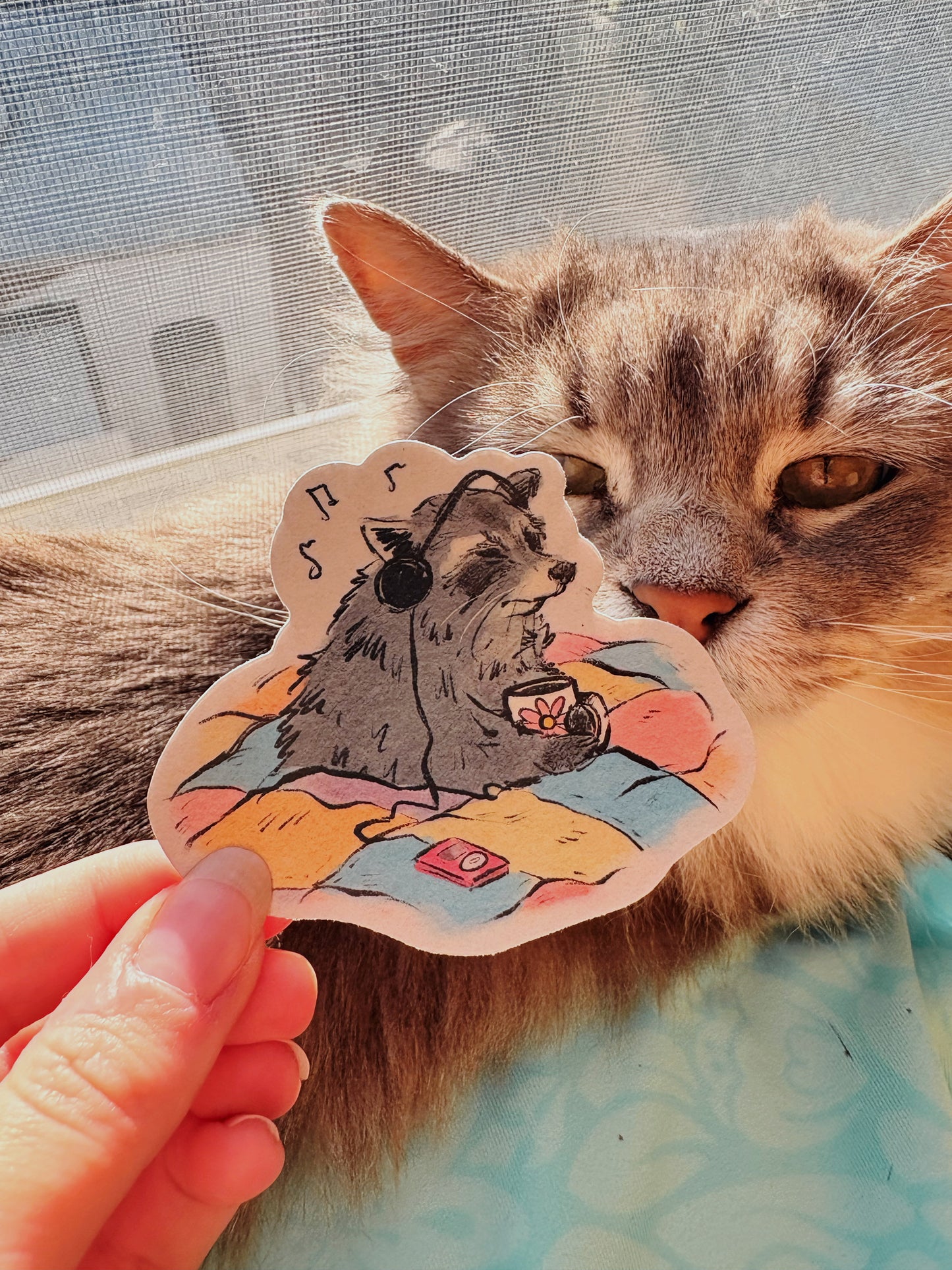 Chillin’ Raccoon Sticker