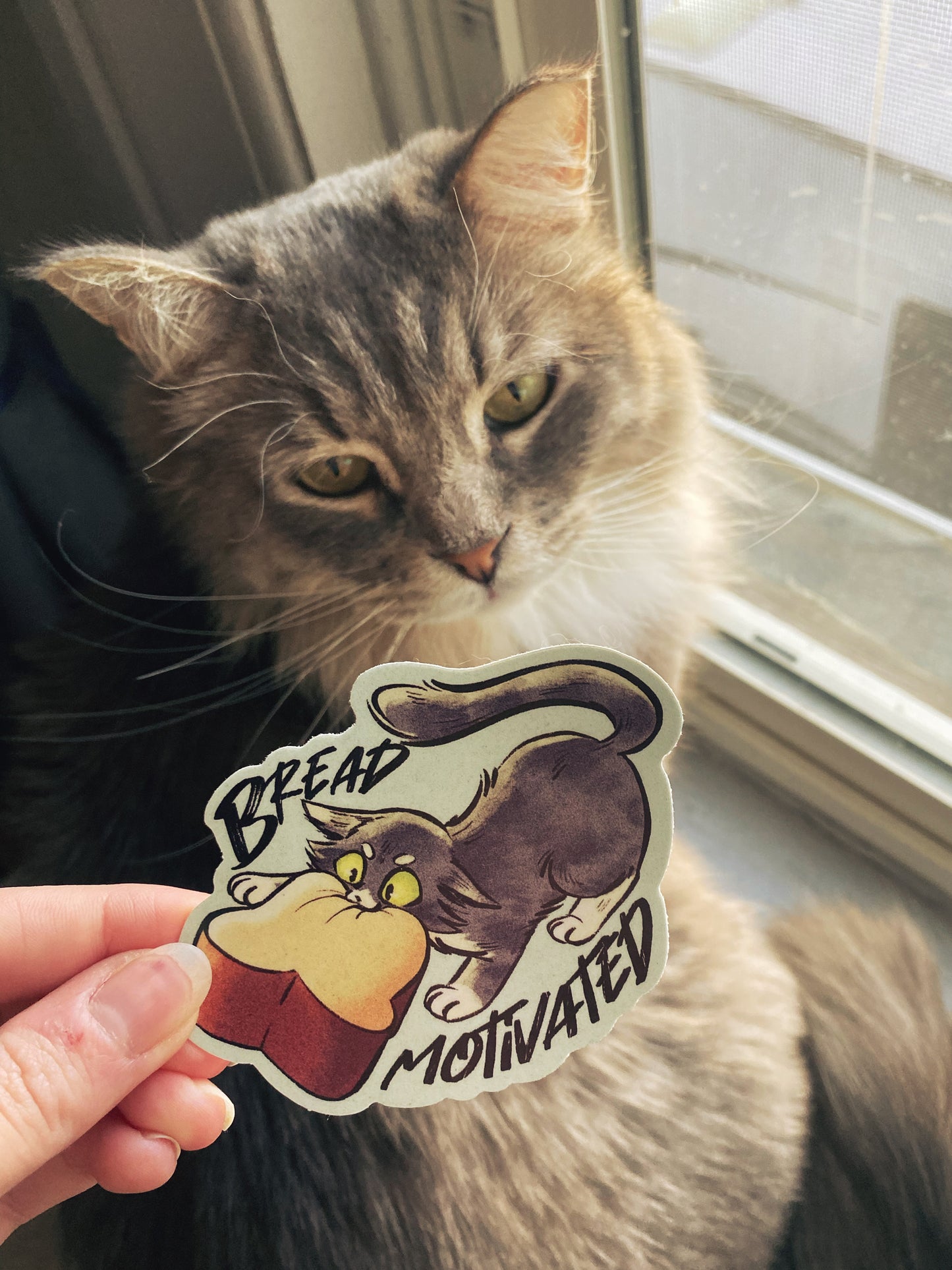 Bread Motivated Cat Sticker